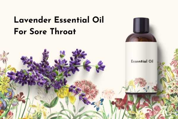 Lavender Essential Oil for Sore Throat