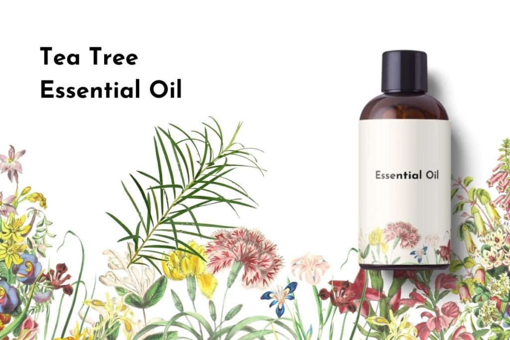 Tea Tree Essential Oil