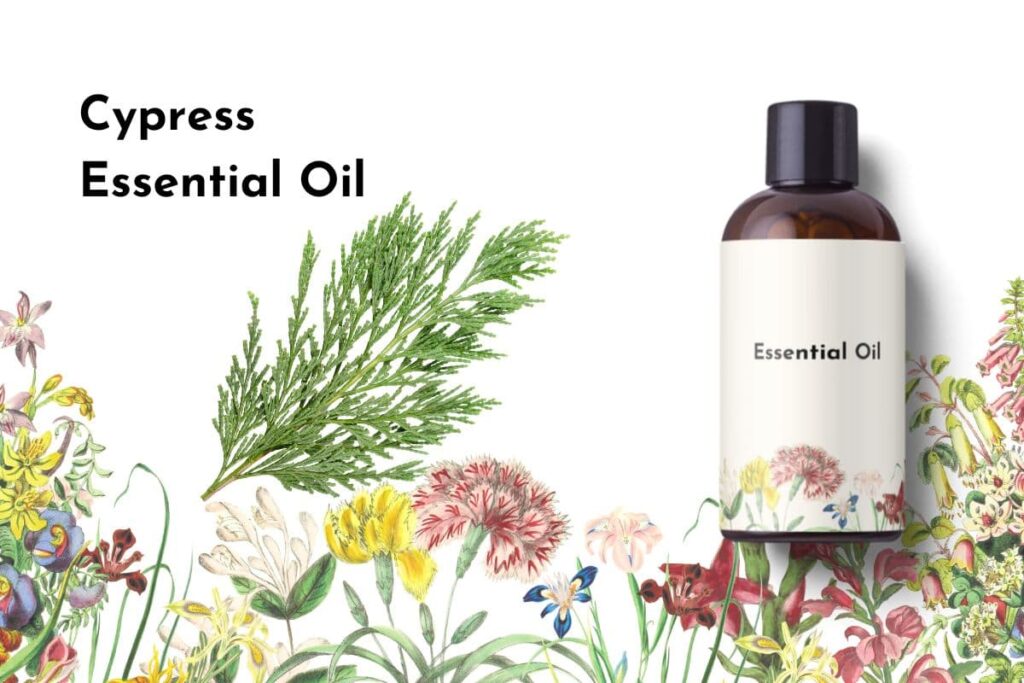 Cypress Essential Oil