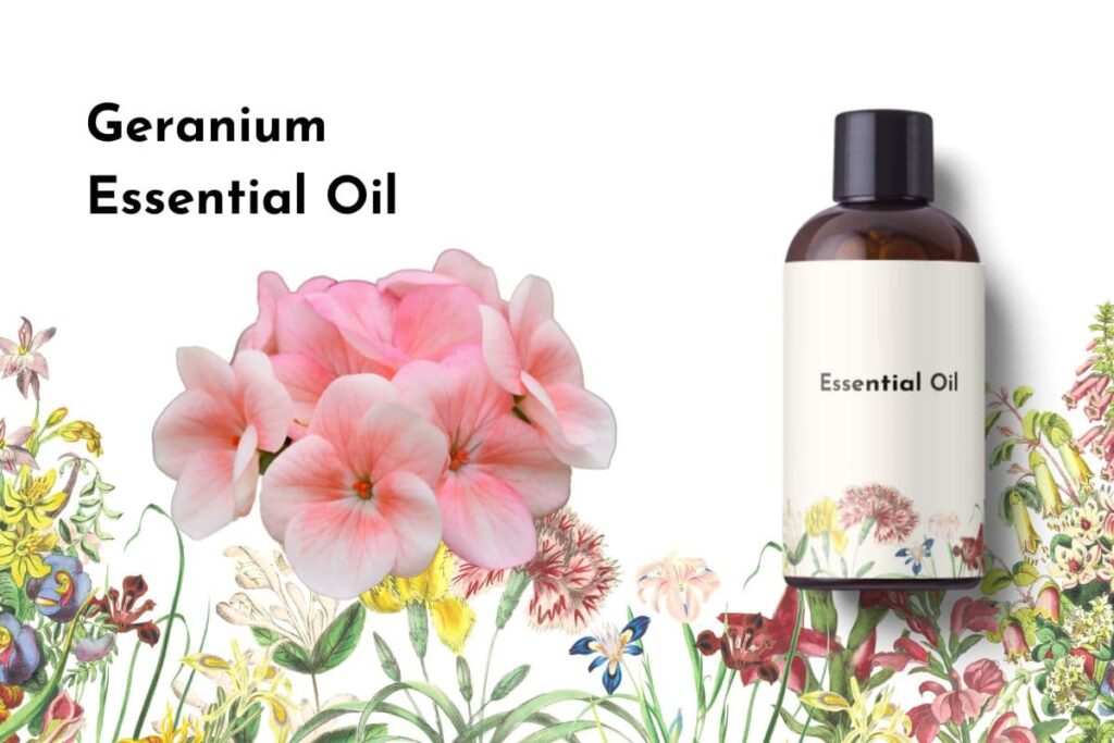 Geranium Essential Oil