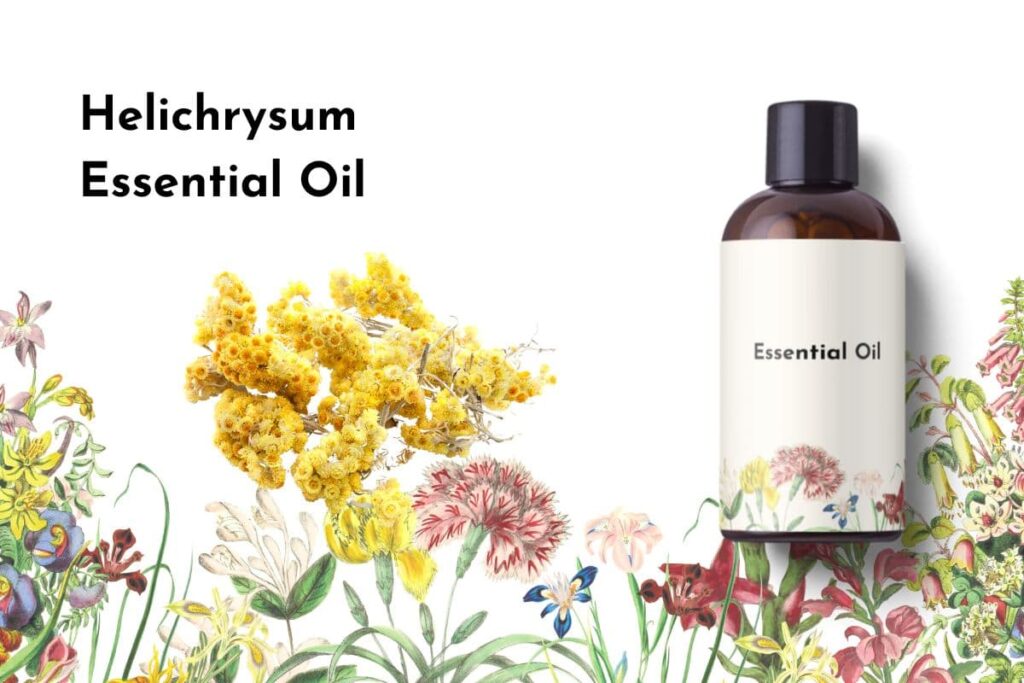 Helichrysum Essential Oil