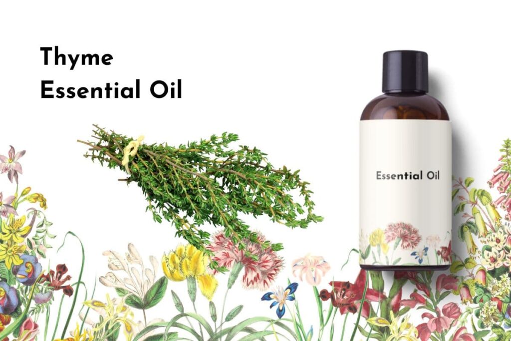 Thyme Essential Oil