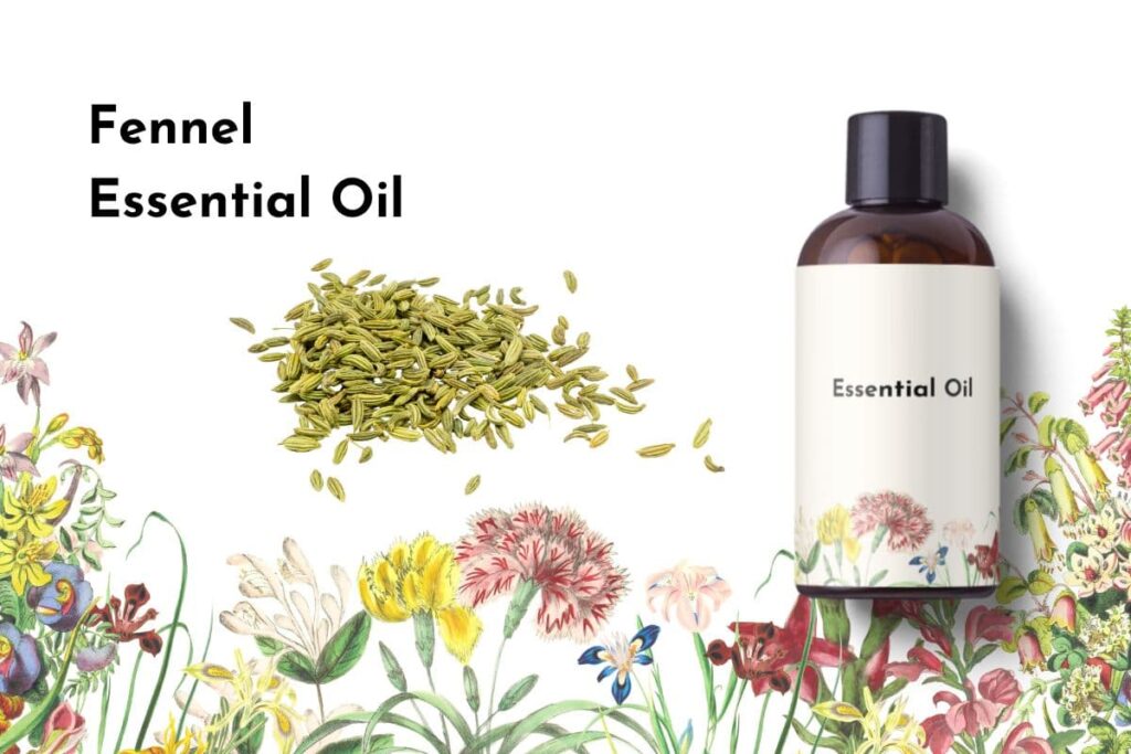 Fennel Essential Oil