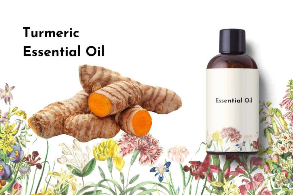 Turmeric Essential Oil